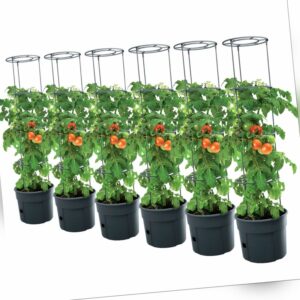 6x Tomatentopf Topf Tomaten Pflanzkübel Pflanzen Tomate 12L Garten Terrasse