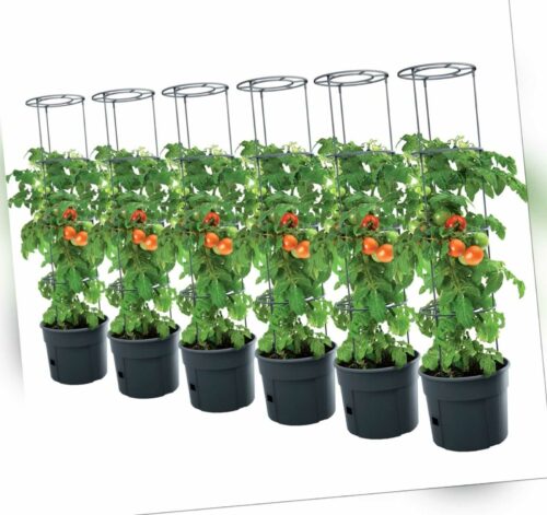 6x Tomatentopf Topf Tomaten Pflanzkübel Pflanzen Tomate 12L Garten Terrasse