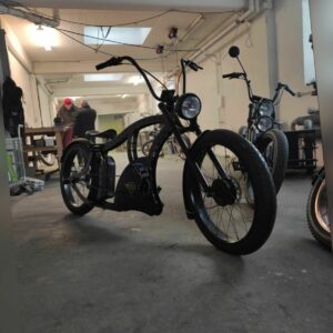 e-bike cruiser altersbedingter Fehlkauf. kaufpreis €3.900-. jetzt nur€3.000-,
