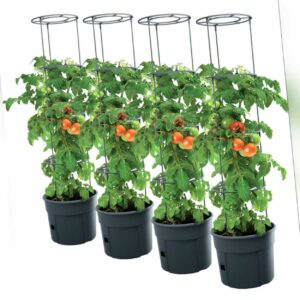 4x Tomatentopf Topf Tomaten Pflanzkübel Pflanzen Tomate 28L Garten Terrasse