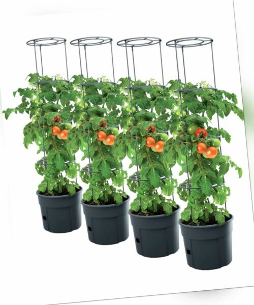 4x Tomatentopf Topf Tomaten Pflanzkübel Pflanzen Tomate 28L Garten Terrasse