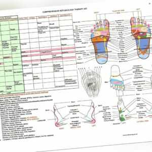 Reflexzonenmassage-Fußkarte - praktisch Größe A4 laminiert - hergestellt von einem britischen Reflexologen