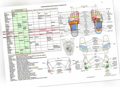 Reflexzonenmassage-Fußkarte - praktisch Größe A4 laminiert - hergestellt von einem britischen Reflexologen