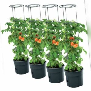 4x Tomatentopf Topf Tomaten Pflanzkübel Pflanzen Tomate 12L Garten Terrasse