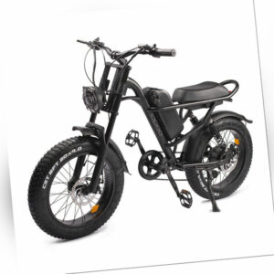 20 Zoll 500W Elektrofahrrad E Mountainbike E-bike Fat Bike Shimano 45km/h 15.6AH