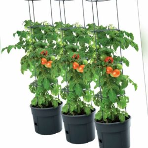 3x Tomatentopf Topf Tomaten Pflanzkübel Pflanzen Tomate 12L Garten Terrasse