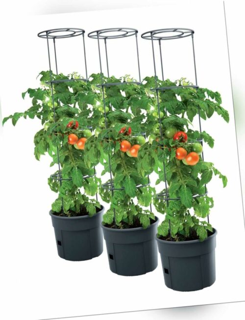 3x Tomatentopf Topf Tomaten Pflanzkübel Pflanzen Tomate 12L Garten Terrasse