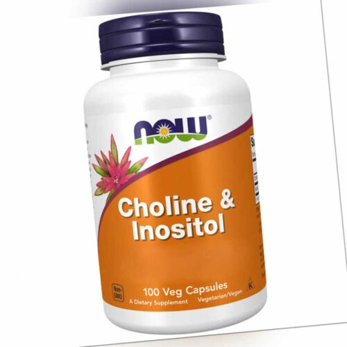 Now Foods, Choline & Inositol, 500mg, 100 Veg. Kapseln - Blitzversand