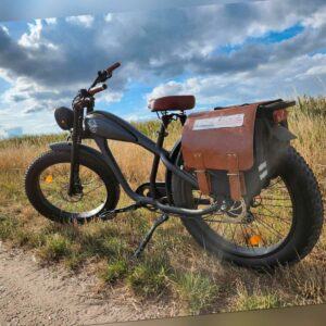 E-Bike Pedelec MC-EBike E-CoffeeCruiser
