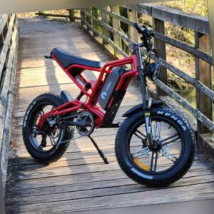 All-Terrain Electric Fat Bike T-REX 750W Bafang 20Ah 48V