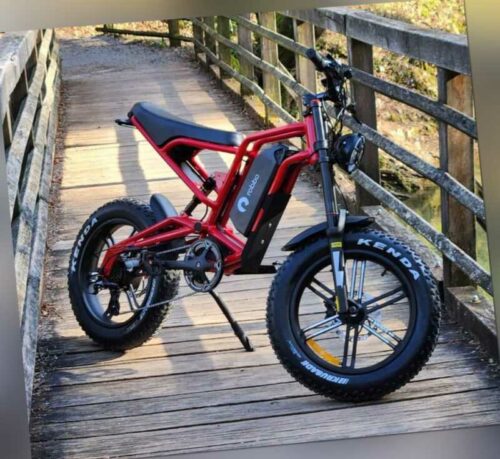 All-Terrain Electric Fat Bike T-REX 750W Bafang 20Ah 48V