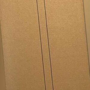 DYSON V15 Detect Absolute Akku-Handstaubsauger kabellos beutellos 660 W 2022