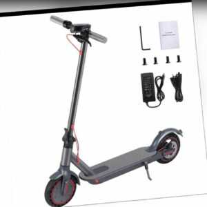 e scooter 350w
