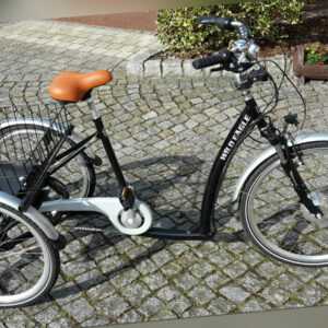 Elektro Dreirad Fahrrad Wild Eagle E-Bike 26" 24" Moped Cruiser E-Dreirad 