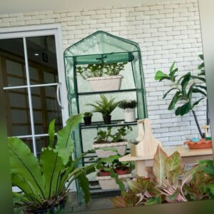 Gewächshaus Foliengewächshaus Tomatenhaus Treibhaus mit Regalebenen für Garten