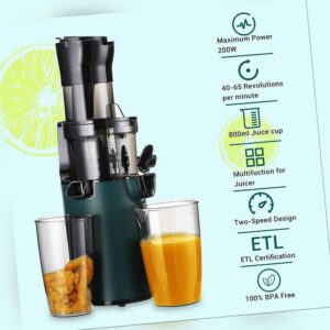 Elektrische Entsafter Slow Juicer Saftpresse Gemüse und Obst Squeezer 800ml Cup