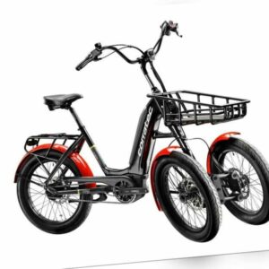 20"E-bike E-Dreirad Corratec Life S DUAL 8 Gänge Shimano Nexus-Bosch 500WH-NEU