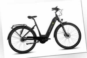 E-Citybike 8 Gang Nabenmotor Scheibenbremsen Federgabel Wave schwarz