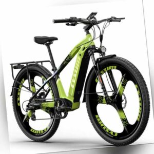 E-Bike 29 Zoll Elektrofahrrad Hinterer Motor 48V*14A City E-Mountainbike