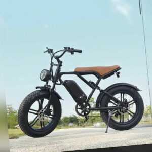 E-Bike 20 Zoll 4.0 Fat Reifen, 750W Motor 48V 15Ah Batterie
