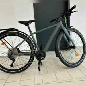 E-Bike E-Flitzer Winora,Mahle 40nm,Intube 250Wh,Größe XS