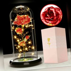 LED Ewige Rose im Glas für Frauen Geburtstag Geschenk Schöne und Das Biest Rose