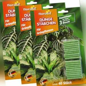 120 Düngestäbchen Stäbchen Grünpflanzen Dünger Zimmer Blatt Nährstoff mit Guano
