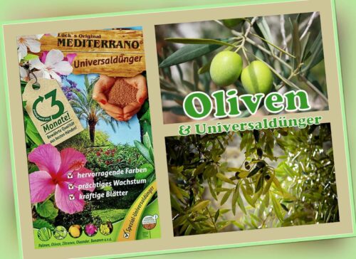 Mediterranodünger, Olivendünger, olivendünger, Olea Europea,  1,5 KG