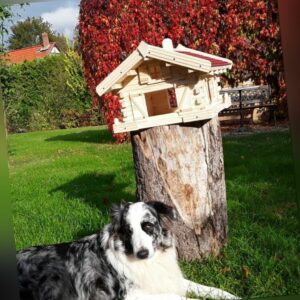 Vogelhaus, Luxus Vogelhaus ,Holz, Handarbeit, Blockhausstil