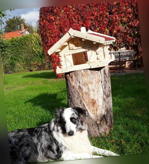 Vogelhaus, Luxus Vogelhaus ,Holz, Handarbeit, Blockhausstil