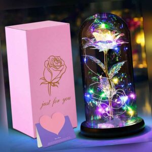 LED Galaxy Ewige Rose im Glas Geschenke für Frauen Schöne und das Biest Rose DHL