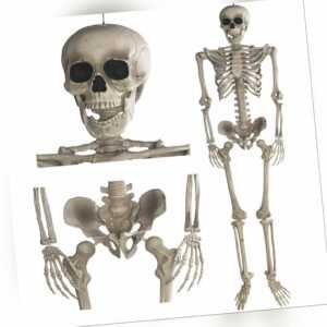 Grusel Pur: 160cm Halloween Skelett beweglich Anatomie Figur Deko Horror Party