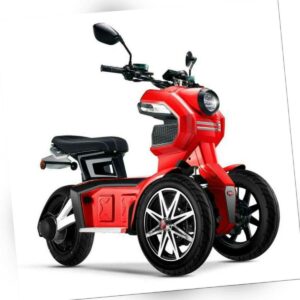 Elektroroller Dreirad Trike 45 km/h E-Scooter E-Roller mit...