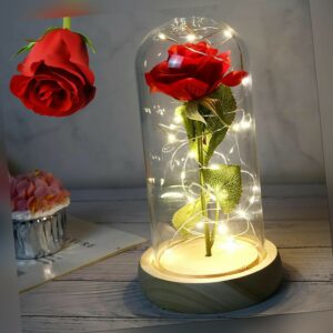 Ewige Rose im Glas,Rosen Geschenke für Frauen,Künstliche Blumenrose,Ewige Rose