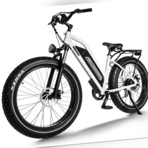 Himiway Cruiser All Terrain E-Bike Fahrrad 250 Watt 17,5 LG Akku Step Thru