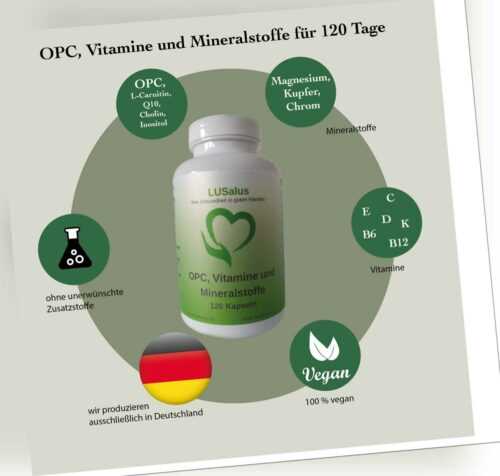 OPC Q10 Vitamin und Mineralstoff Kapseln Hochdosiert Antioxidantien