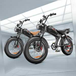 20 Zoll Elektrofahrrad E-Mountainbike 48V 1000W Ebike E-Fahrrad 50 km/h Pedelec