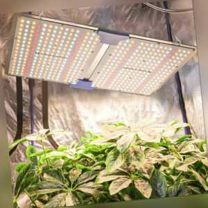 Phlizon 2000W LED Grow Light Pflanzenlampen Vollspektrum Dimmable indoor plants