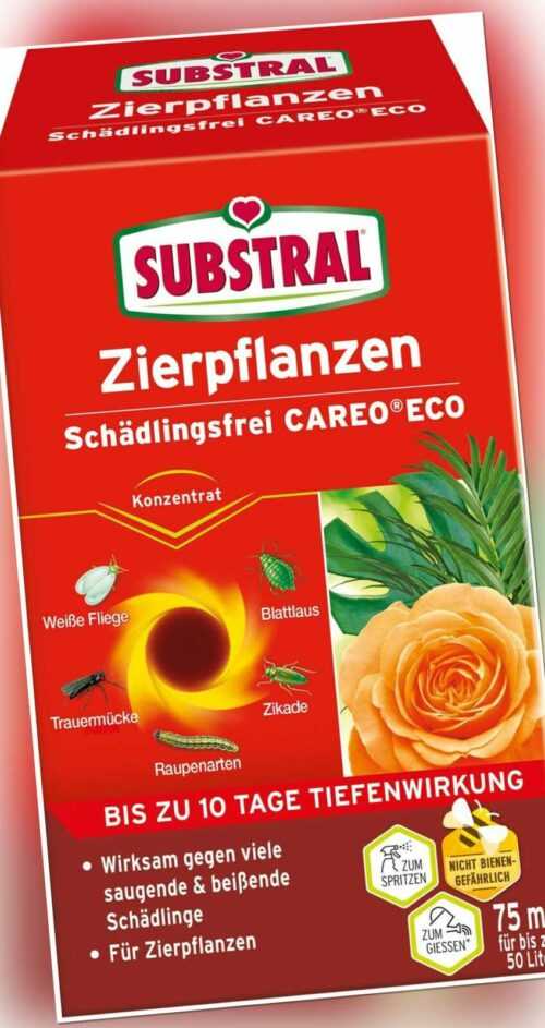 Substral Zierpflanzen Schädlingsfrei Careo 75ml Buchsbaumzünsler weisse Fliege