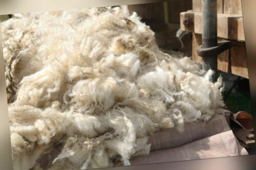 Schafwolle unsortiert 1 kg, Rohwolle, naturbelassener Dünger & Dämmung