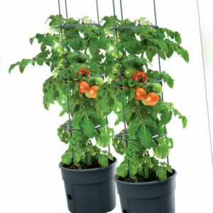 2x Tomatentopf Topf Tomaten Pflanzkübel Pflanzen Tomate 28L Garten Terrasse
