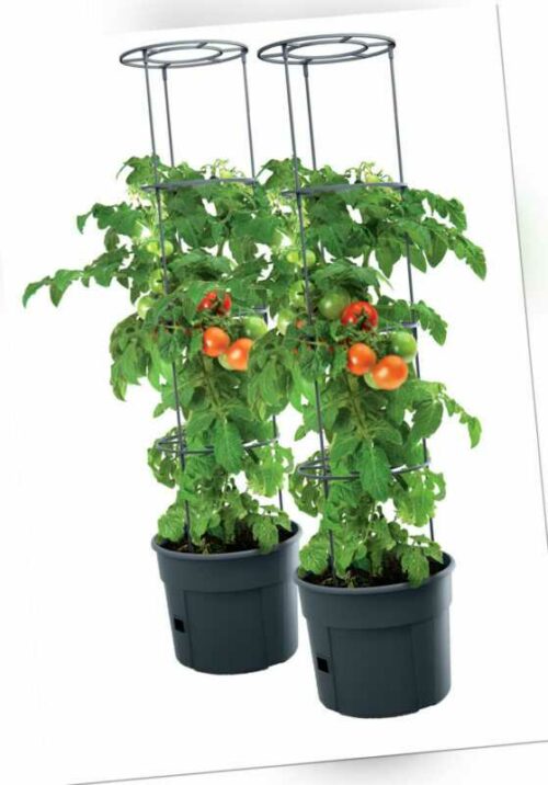 2x Tomatentopf Topf Tomaten Pflanzkübel Pflanzen Tomate 28L Garten Terrasse
