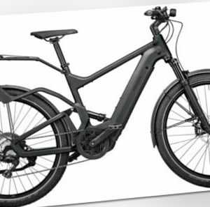 Trekking E Bike 27,5 Zoll 625Wh Bosch Riese & Müller Delite GT, grau, RH51