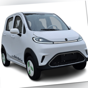 ElektroMobil E-Auto MopedAuto Seniorenmobil ElektroAuto Kabinenroller 4kW 45km/h