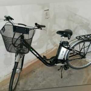 E-Bike mit DAUMEN GAS und TEMPOMAT