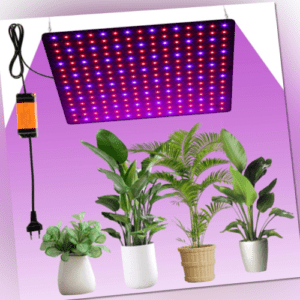 Grow Light LED Pflanzenlampe 1000W Pflanzenlampe Led Vollspektrum Wachstumslampe