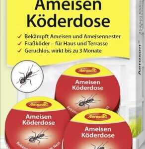 Aeroxon – Ameisenköderdose Für Innen (3 Dosen)– Ameisenfalle, Ameisen Köderdose