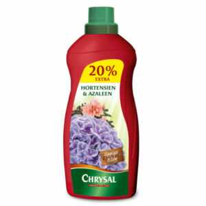 Chrysal Hortensien & Azaleen Flüssigdünger 1200 ml Dünger Pflanzennahrung