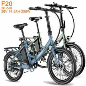 FAFREES 20 Zoll Klapprad e Bike Elektrofahrrad 250W Pedelec Faltrad Damenfahrrad