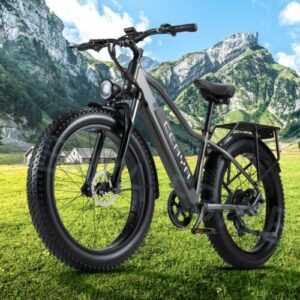 E Bike 1000W Elektro Fahrrad 45km/h Mountainbike 48V 20Ah Moped E Fatbike
